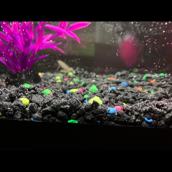 Meet your Posher, Woo - Picture 1 of 1